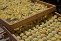 Handmade orecchiette pasta. Typical dish of Bari, Apulia, Italy