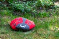 Handmade painted acrylic stone ladybug in garden Royalty Free Stock Photo
