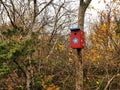 Handmade painted birdhouse hanging from a forest tree in Molen, Norway