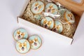 Handmade painted gingerbread with welsh corgi dog portraits in cardboard box. Beautiful cookies decorated by colorful frosting. Id