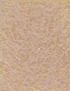 Handmade Paper with Peach Lace Texture Royalty Free Stock Photo