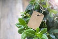 Handmade paper price tag or blank tag for your label lying on the azalea