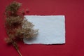 Handmade paper scroll and a branch of dry field grass on a red background. Copy space, place for text Royalty Free Stock Photo