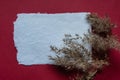 Handmade paper scroll and a branch of dry field grass on a red background. Copy space, place for text Royalty Free Stock Photo