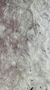 handmade paper structure of fibers and chips of bask mulberry Royalty Free Stock Photo