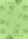 Handmade Paper Texture Green