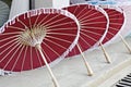 Handmade paper umbrella in borsang handicrafts