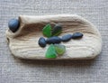 Handmade picture - Dragonfly on wooden surface, Lithuania