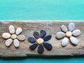 Handmade picture - flowers , using see goods, Lithuania
