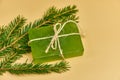 Soap with needles branches on the white background