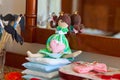 Handmade princess doll