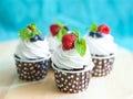 Handmade raspberry and mint cupcake Royalty Free Stock Photo