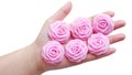 Six pieces of handmade roses made out of fabric Royalty Free Stock Photo