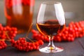 Handmade rowan-vodka and red berries of rowan tree Royalty Free Stock Photo