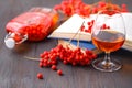 Handmade rowan-vodka and red berries of rowan tree Royalty Free Stock Photo