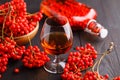 Handmade rowan-vodka and red berries of rowan tree Royalty Free Stock Photo