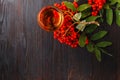 Handmade rowan-vodka and red berries of rowan tree Royalty Free Stock Photo
