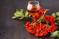 Handmade rowan-vodka and red berries of rowan tree Royalty Free Stock Photo