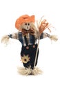 Handmade Scarecrow