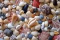 Handmade sea shell panel with beads