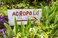 Handmade signpost pointing to the Acropolis, Athens