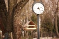 Handmade small wooden bird house feeder in the park on the tree for feeding wild birds Royalty Free Stock Photo