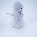 Handmade snowman in snow