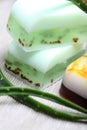 Handmade soap and aloe leaves Royalty Free Stock Photo