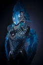 Handmade styling of a bird or mythological figure with blue wing