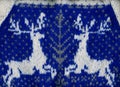 Handmade sweater with two reindeer.