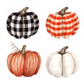 Handmade textile pumpkins on a white background. Watercolor illustration