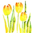 Handmade tulip