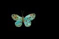 Handmade turquoise butterfly Royalty Free Stock Photo