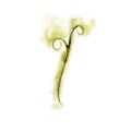 green plant tendril in watercolor