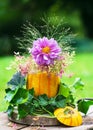 Handmade vase made from spaghetti squash with with beautiful bouquet of magenta dahlia and purple hydrangea flowers Royalty Free Stock Photo