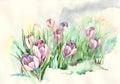 Handmade watercolor drawing flowers snowdrops spring