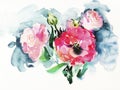 Handmade watercolor painting of pink roses Royalty Free Stock Photo