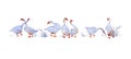 Handmade watercolor set with geese swan nibbles the grass isolated on the white background. Colorful set for fabric, gift wrapping Royalty Free Stock Photo