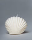 Handmade wax white candle in shell shape on plain gray background. Soy candles made of natural materials Royalty Free Stock Photo