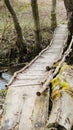 Handmade wooden bridge over the river. Footbridge in the european spring forest. Royalty Free Stock Photo