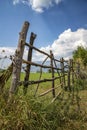 The old fence of tree trunks, rural landscape, nature wallpaper background Royalty Free Stock Photo