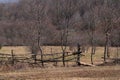 Handmade wooden fence made of thin rods Royalty Free Stock Photo