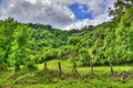 Handmade wooden fence for pasturing farm animals in a green field Royalty Free Stock Photo