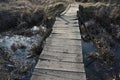 Handmade wooden plank bridge over stream Royalty Free Stock Photo