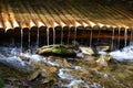 Handmade wooden water drains from small treated beams. A beautiful fragment of a small waterfall