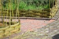 Handmade woven willow garden edging