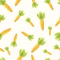 Handpaint watercolor carrot