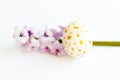 Handpainted egg with gold dots and violet phlox lying in line on white. Happy Easter background