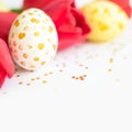 Handpainted eggs with gold design, red tulips against of small stars on white. Happy Easter background