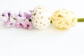 Handpainted eggs with gold design and violet phlox lying in line on white. Happy Easter background
